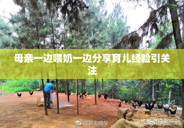母亲一边喂奶一边分享育儿经验引关注