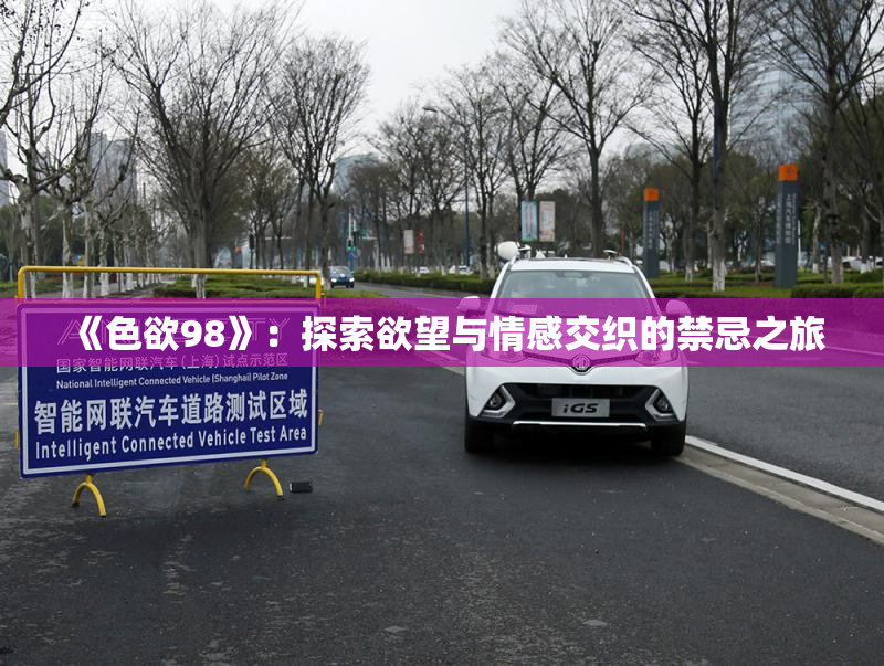 《色欲98》：探索欲望与情感交织的禁忌之旅