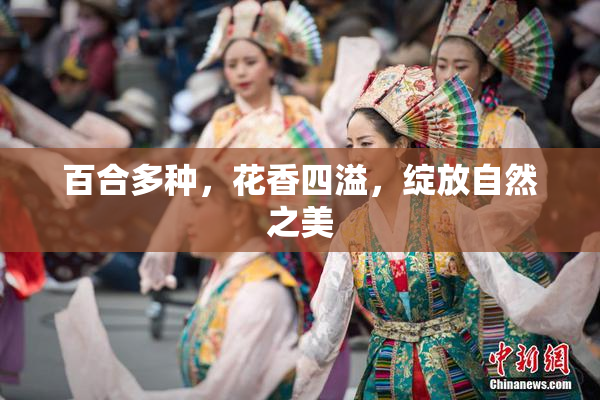百合多种，花香四溢，绽放自然之美