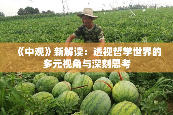 《中观》新解读：透视哲学世界的多元视角与深刻思考