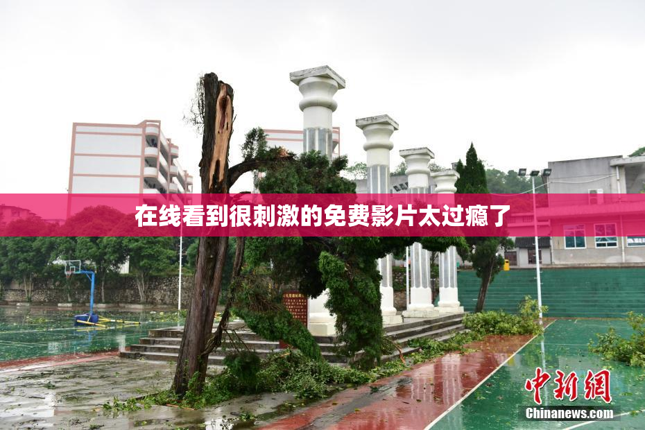 在线看到很刺激的免费影片太过瘾了