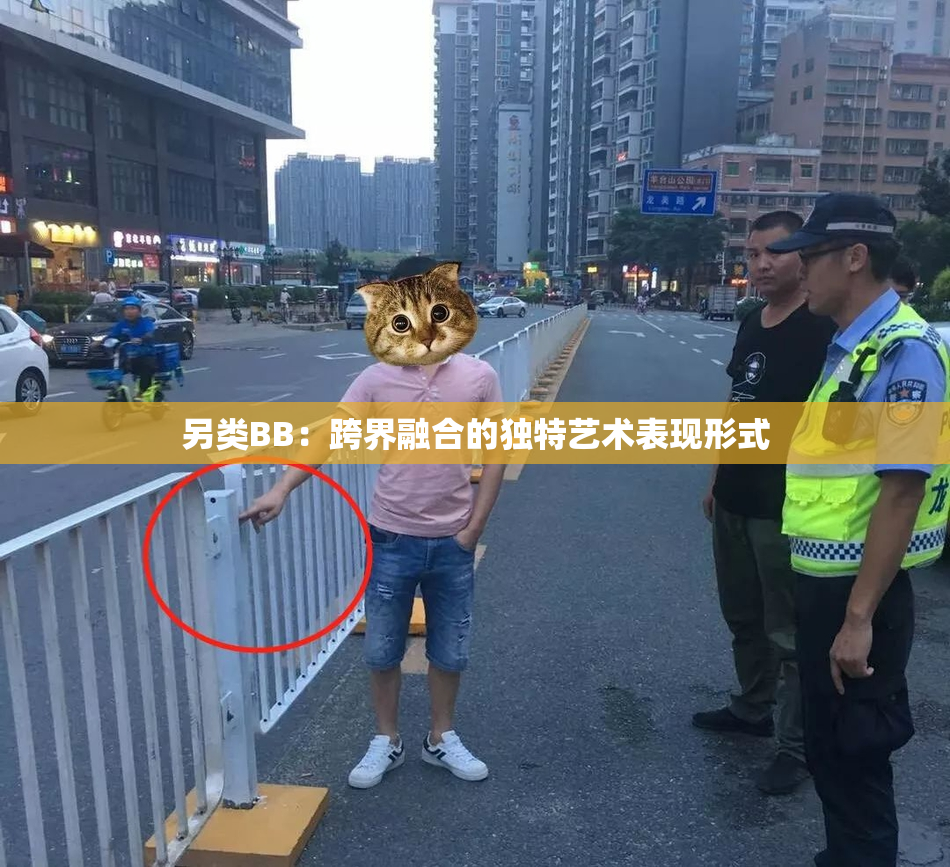 另类BB：跨界融合的独特艺术表现形式