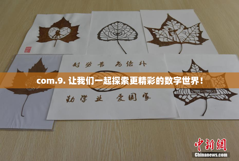 com.9. 让我们一起探索更精彩的数字世界！