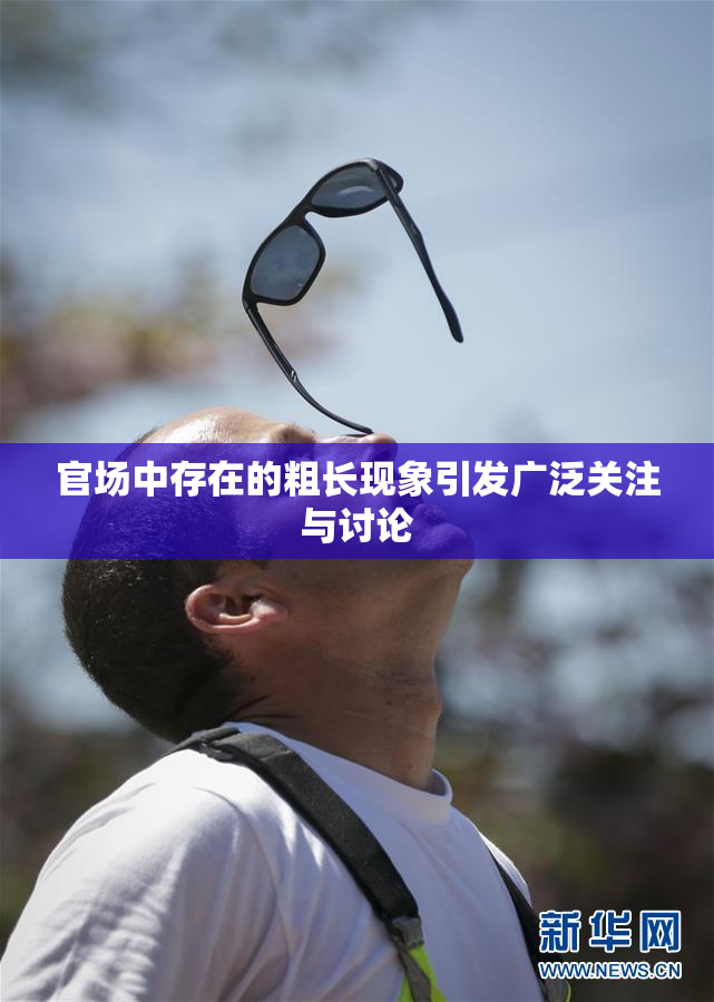 官场中存在的粗长现象引发广泛关注与讨论