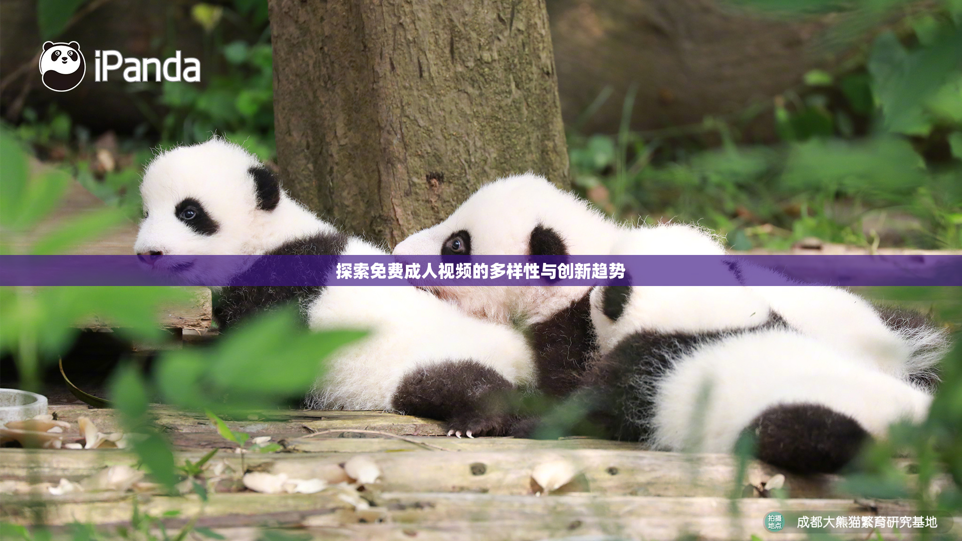 探索免费成人视频的多样性与创新趋势