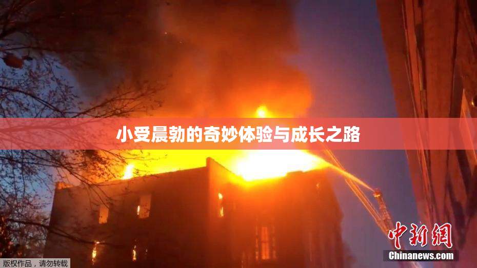 小受晨勃的奇妙体验与成长之路