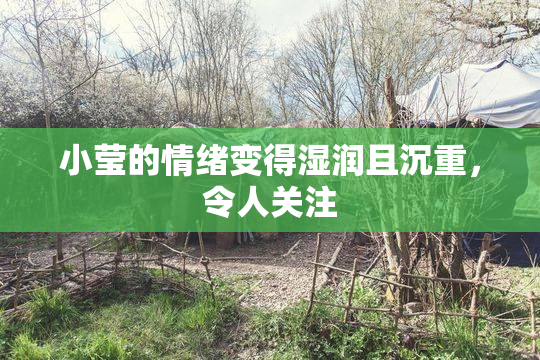 小莹的情绪变得湿润且沉重，令人关注