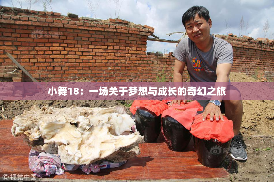 小舞18：一场关于梦想与成长的奇幻之旅