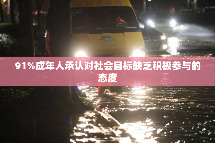 91%成年人承认对社会目标缺乏积极参与的态度