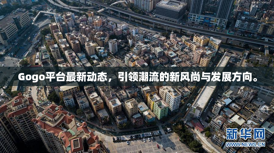 Gogo平台最新动态，引领潮流的新风尚与发展方向。