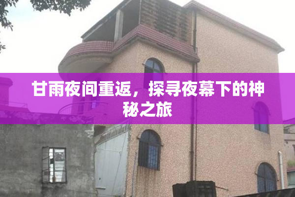 甘雨夜间重返，探寻夜幕下的神秘之旅