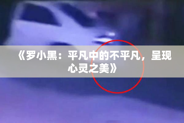 《罗小黑：平凡中的不平凡，呈现心灵之美》