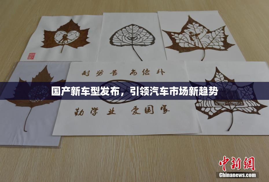 国产新车型发布，引领汽车市场新趋势