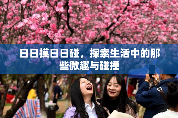 日日摸日日碰，探索生活中的那些微趣与碰撞