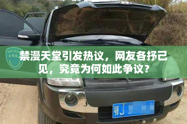 禁漫天堂引发热议，网友各抒己见，究竟为何如此争议？