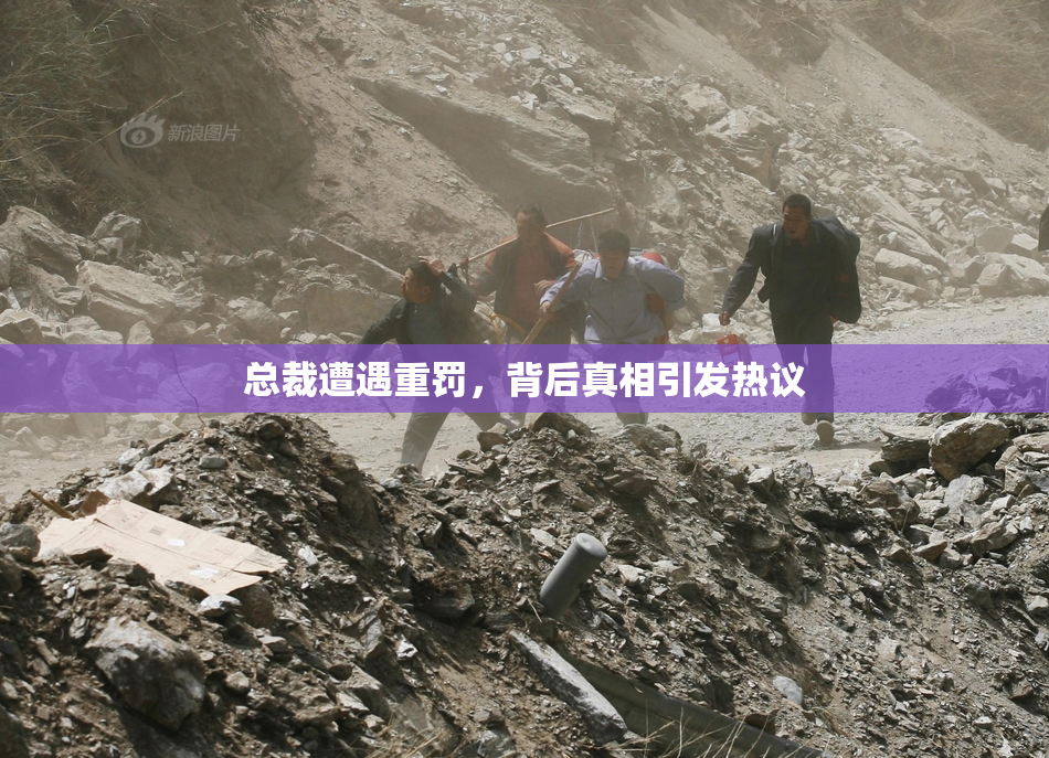 总裁遭遇重罚，背后真相引发热议