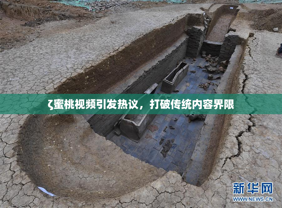ζ蜜桃视频引发热议，打破传统内容界限