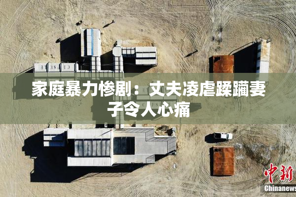 家庭暴力惨剧：丈夫凌虐蹂躏妻子令人心痛