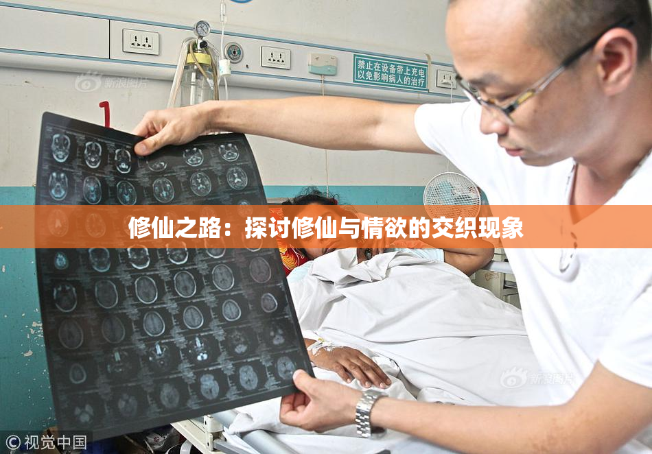修仙之路：探讨修仙与情欲的交织现象