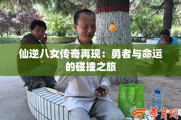 仙逆八女传奇再现：勇者与命运的碰撞之旅