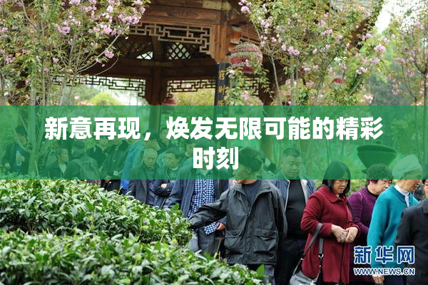 新意再现，焕发无限可能的精彩时刻