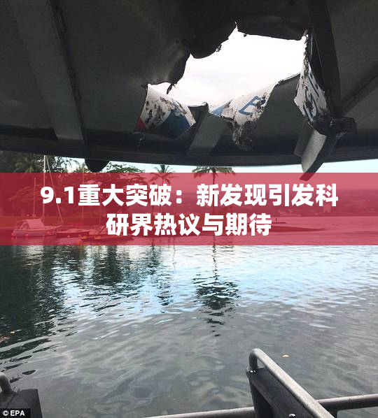 9.1重大突破：新发现引发科研界热议与期待