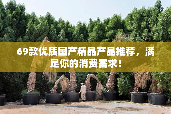 69款优质国产精品产品推荐，满足你的消费需求！