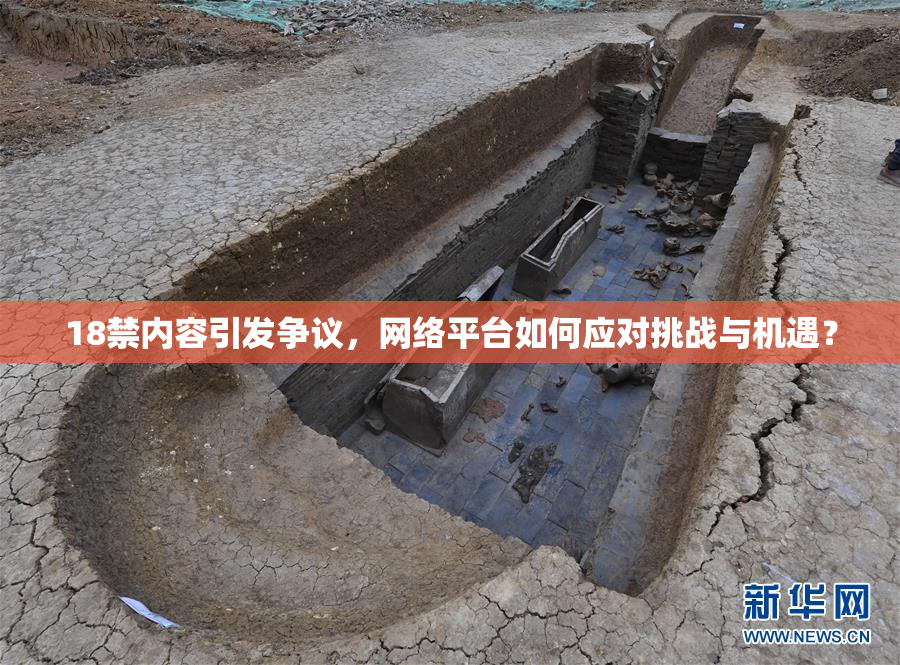 18禁内容引发争议，网络平台如何应对挑战与机遇？