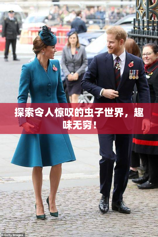 探索令人惊叹的虫子世界，趣味无穷！