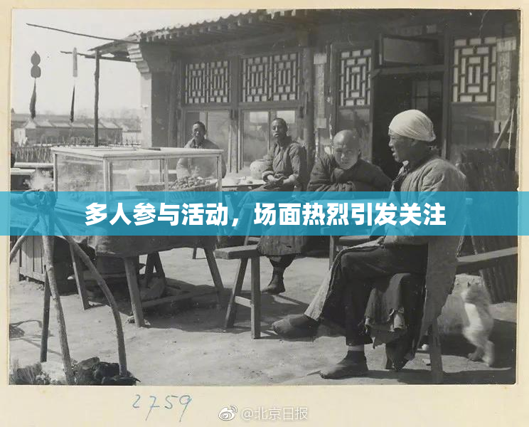 多人参与活动，场面热烈引发关注