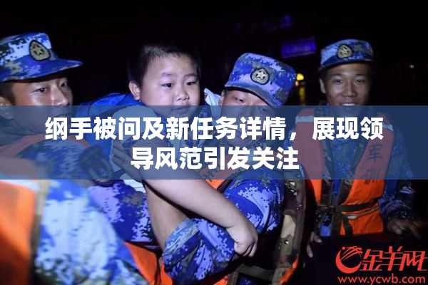 纲手被问及新任务详情，展现领导风范引发关注