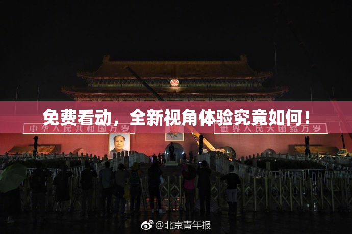 免费看动，全新视角体验究竟如何！