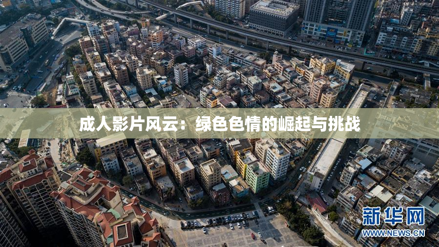 成人影片风云：绿色色情的崛起与挑战