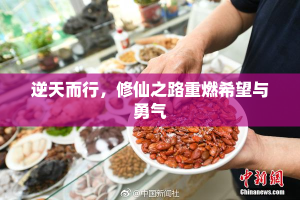 逆天而行，修仙之路重燃希望与勇气