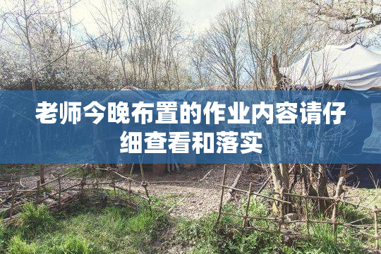 老师今晚布置的作业内容请仔细查看和落实