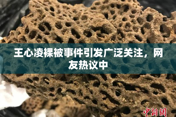 王心凌裸被事件引发广泛关注，网友热议中