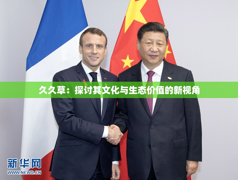 久久草：探讨其文化与生态价值的新视角