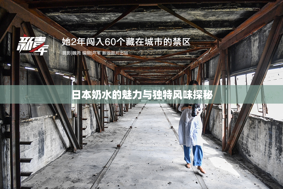 日本奶水的魅力与独特风味探秘