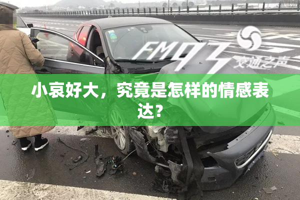小哀好大，究竟是怎样的情感表达？