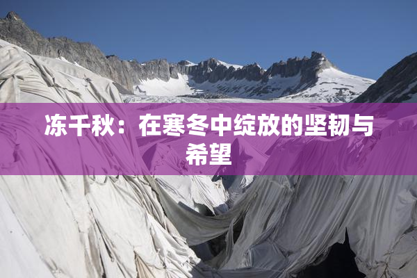 冻千秋：在寒冬中绽放的坚韧与希望
