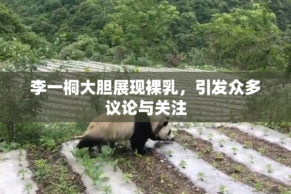 李一桐大胆展现裸乳，引发众多议论与关注