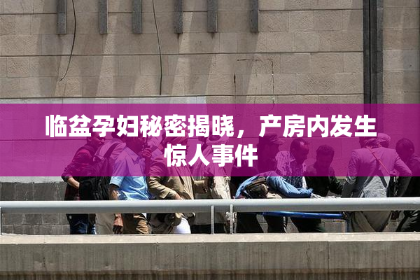 临盆孕妇秘密揭晓，产房内发生惊人事件