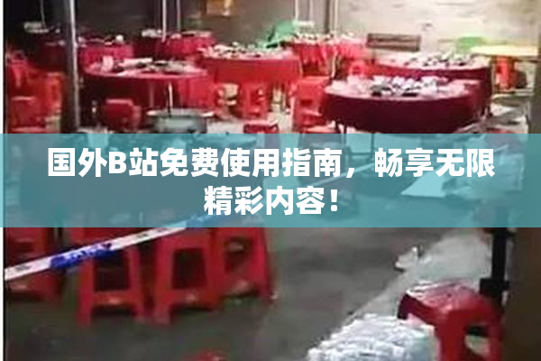 国外B站免费使用指南，畅享无限精彩内容！