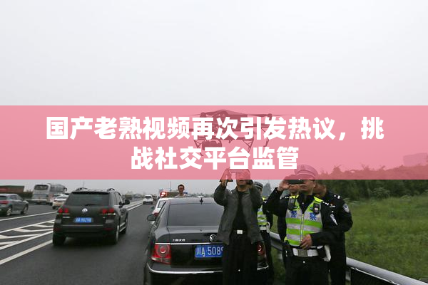 国产老熟视频再次引发热议，挑战社交平台监管