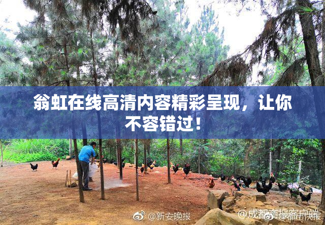 翁虹在线高清内容精彩呈现，让你不容错过！