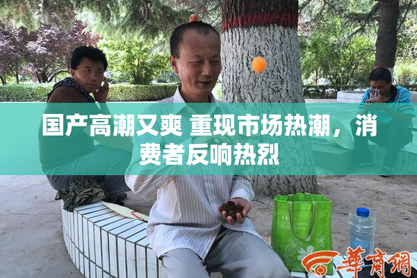 国产高潮又爽 重现市场热潮，消费者反响热烈