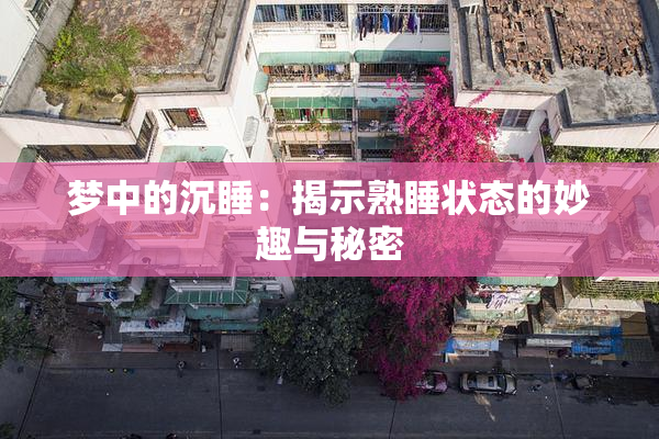 梦中的沉睡：揭示熟睡状态的妙趣与秘密