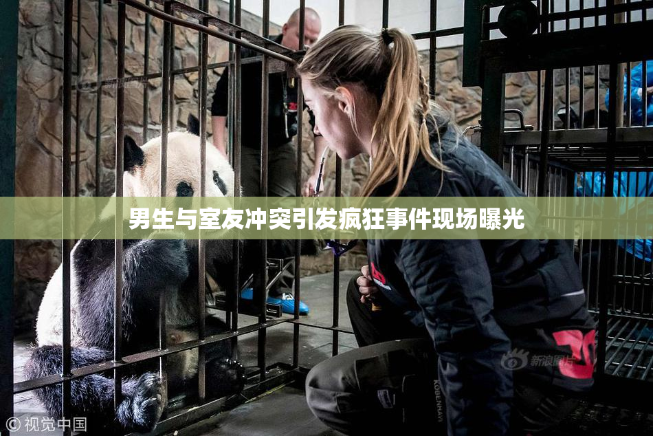男生与室友冲突引发疯狂事件现场曝光