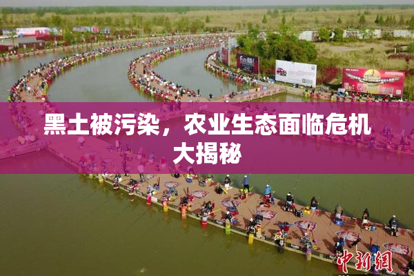 黑土被污染，农业生态面临危机大揭秘