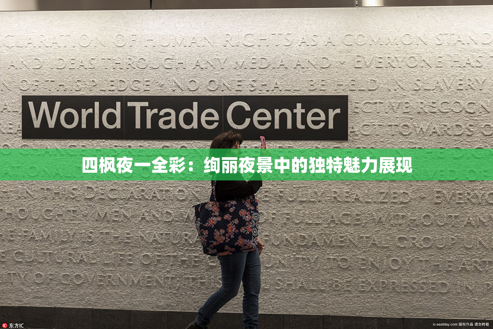 四枫夜一全彩：绚丽夜景中的独特魅力展现